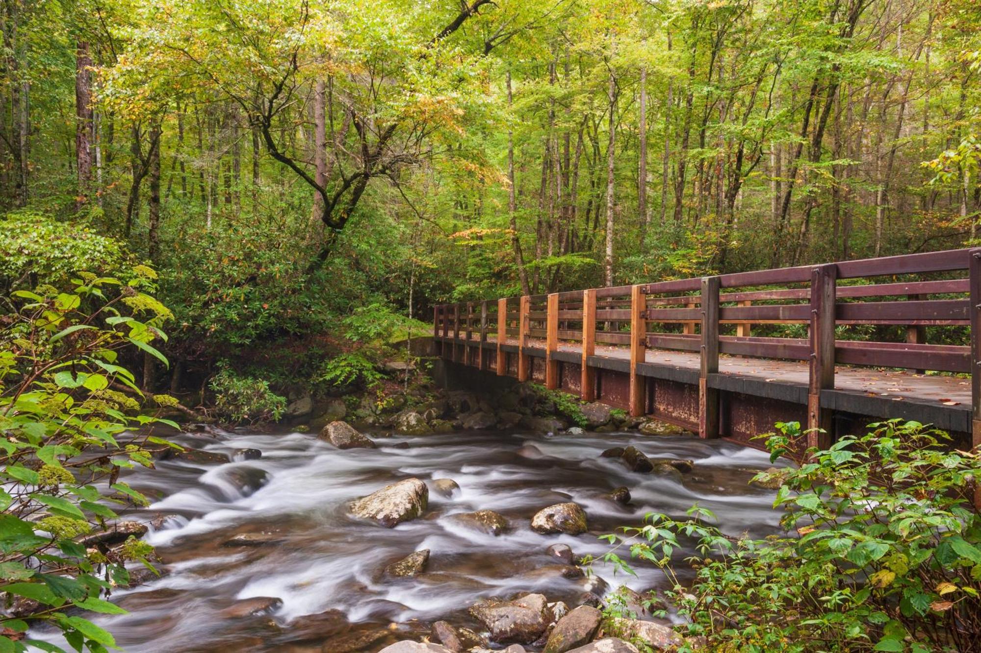 Leconte Mountain Lodge, Breathtaking Views, Hot 1089, Free Tickets Each Paid Day, Dollywood And Mor Sevierville Exterior photo